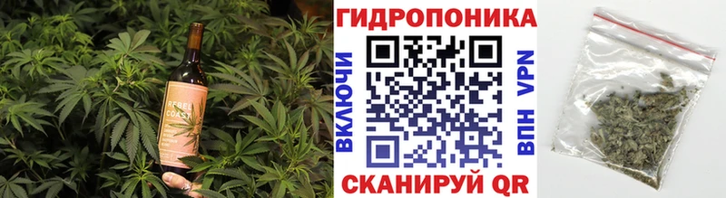 Canna-Cookies марихуана  Можга 