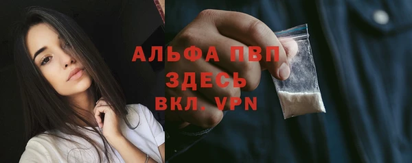 шишки Баксан