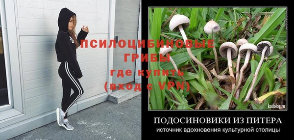 дурь Балахна
