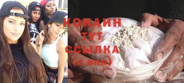 шишки Баксан